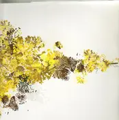 Rhadoo - Dor Mit Oru