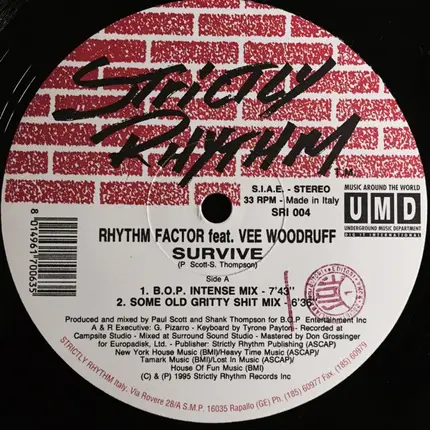 Rhythm Factor Featuring Vee Woodruff - Survive