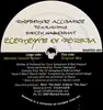 12inch Vinyl Single - Rhythmic Alliance - Elements Of Persia