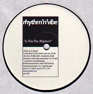 Rhythm 'N' Vibe - Is This The Rhythm?