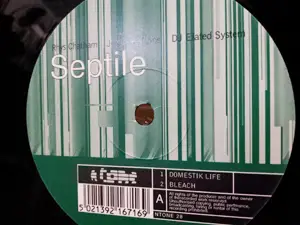 Rhys Chatham / Jonathan Kane / DJ Elated System - Septile