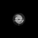 12inch Vinyl Single - Ringolevio - Were Living