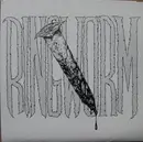 7inch Vinyl Single - Ringworm - The Worms Will Get In - Limited Edition, booklet sleeve