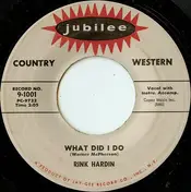 Rink Hardin - What Did I Do