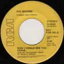 7inch Vinyl Single - Rio Grande - Nice And Easy / Wish I Could See You Again