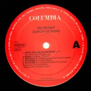 LP - Rio Reiser - Durch Die Wand - rare ton steine scherben