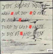 LP - Rio Reiser - Durch die Wand