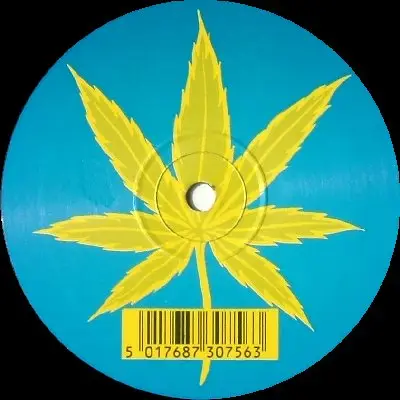 Rio Rhythm Band - Ti Amo Semprini
