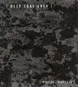 CD - Riot Of Colours - Deep Coal Grey