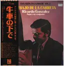 LP - Ricardo González - Una Arpa En La Noche Vol. 2 - Debajo de la carreta - + OBI