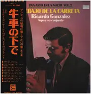 Ricardo González - Una Arpa En La Noche Vol. 2 - Debajo de la carreta
