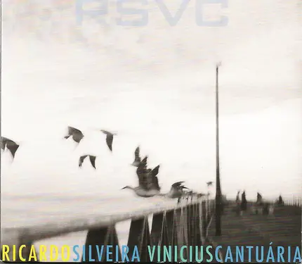 Ricardo Silveira , Vinicius Cantuária - RSVC