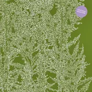 LP-Collection - Ricardo Villalobos - Alcachofa