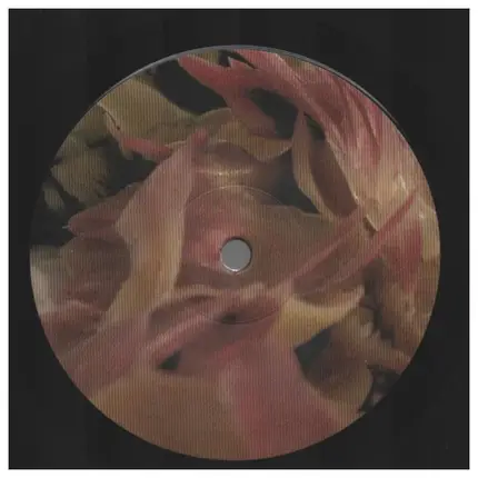 Ricardo Villalobos - Alcachofa