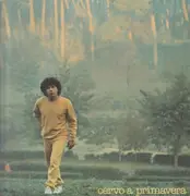 LP - Riccardo Cocciante - Cervo A Primavera