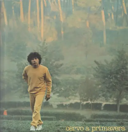 Riccardo Cocciante - Cervo a Primavera