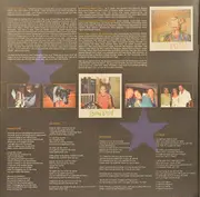 Double LP - Rich Hopkins & Luminarios - My Lucky Stars