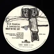 Double LP - Rich Hopkins & Luminarios - Devolver / Bailey In The Sky - DIY Cover