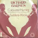 7inch Vinyl Single - Richard Barnes - Coldwater Morning