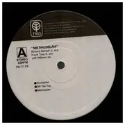 LP - Richard Beirach - Methuselah