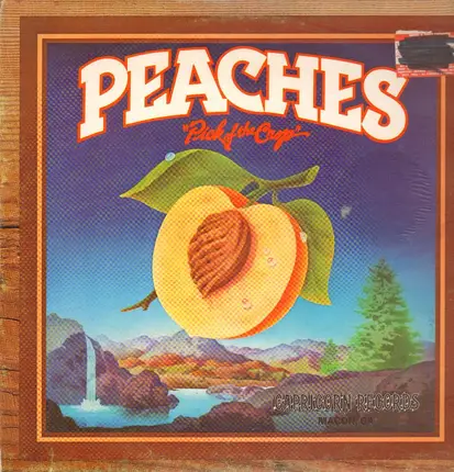 Richard Betts, Wet Willie a.o. - Peaches 'Pick Of The Crop'