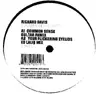 12'' - Richard Davis - Common Sense Mixes