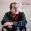 Double LP - Richard Galliano - Tokyo Concert - HQ-Vinyl LIMITED
