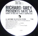 12inch Vinyl Single - Richard Grey Presents Gate 54 - What A Feeling (Make It Happen Mix)