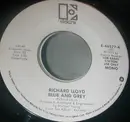 7inch Vinyl Single - Richard Lloyd - Blue And Grey