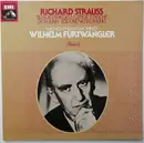 LP - R. Strauss - Till Eulenspiegels Lustige Streiche / Don Juan, Tod Und Verklärung