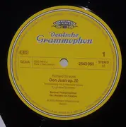 LP - Richard Strauss - Berliner Philharmoniker ● Herbert Von Karajan - Don Juan; Till Eulenspiegel; Salomes Tanz - Original Insert