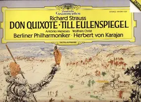 Richard Strauss - Don Quixote • Till Eulenspiegel