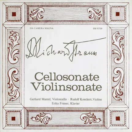 Strauss - Cellosonate / Violinsonate