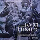 LP - R. Strauss - In Memoriam Kurt Leimer: 'Panathenäenzug' Für Klavier Und Orchester / 'Metamorphosen' Studie Für 23 Solostreicher