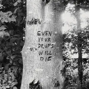 Richard Swift - Even Your Drums Will Die: Live At Pendarvis Farm 2