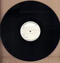 LP - Richard T. Bear - Captured Alive - Promo
