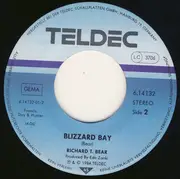 7inch Vinyl Single - Richard T. Bear - Jamie, Jamie