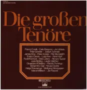 Double LP - Richard Tauber / Enrico Caruso / Fritz Wunderlich a.o. - Die Großen Tenöre