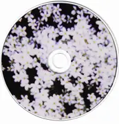 CD - Richard Youngs - May