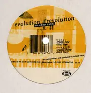 Richard Bartz - Evolution+Revolution