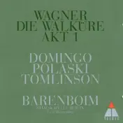 Barenboim - Wagner:  Die Walküre Akt 1