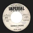 7inch Vinyl Single - Richie Allen - Sunday Picnic - Promo