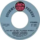 7inch Vinyl Single - Richie Havens - Missing Train / I've Got To Get To Know Myself