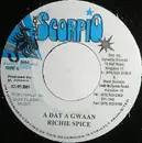 7inch Vinyl Single - Richie Spice - A Dat A Gwaan