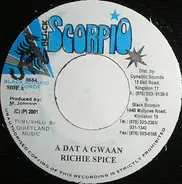Richie Spice - A Dat A Gwaan