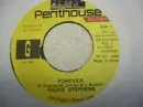 7inch Vinyl Single - Richie Stephens - Forever