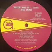 Double LP - Rick James - Spacey Love