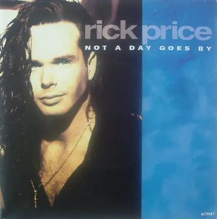 Rick Price - Not A Day Goes By