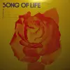 LP - Rick Stanley - Song Of Life (Jai Guru Dev)