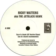 Ricky Watters AKA The Jetblack Hawk - Eye Of A Hawk